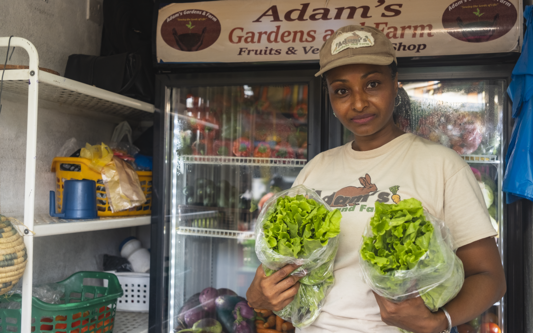 Growth Accelerator Program – Adams Gardens and Farms: Cultivating Sustainable Solutions for Year-Round Fresh Produce